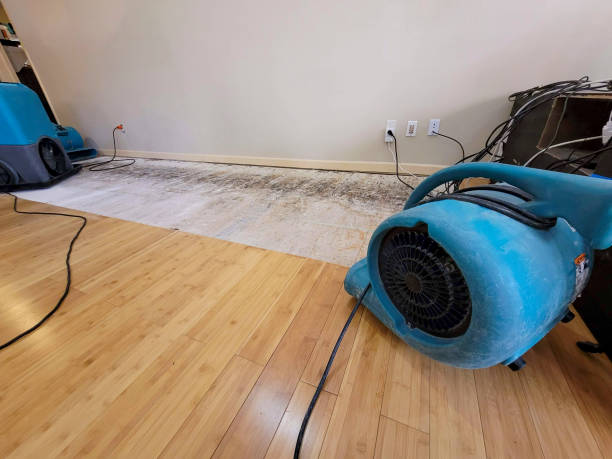 Professional Water Damage Repair technician working in West Paris, ME